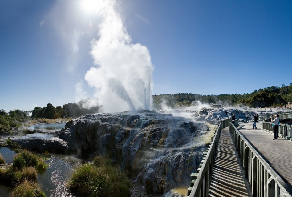Rotorua: Te Puia Geothermal Valley Guided Tour With Tickets - Tour Language and Accessibility