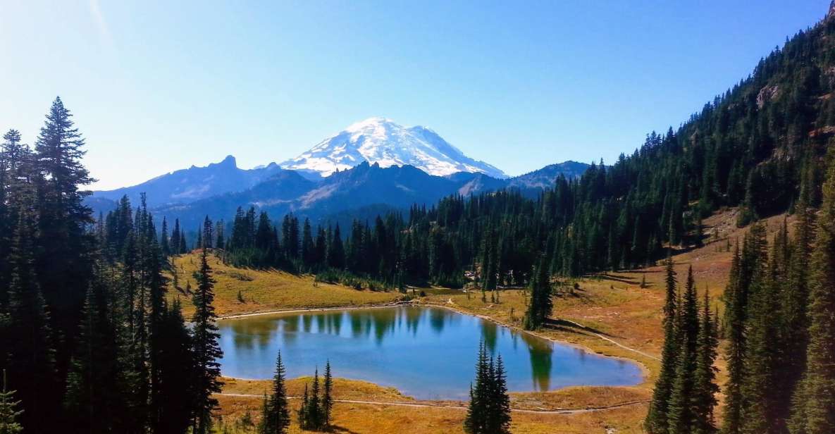 Seattle All-Inclusive: Hike Mt. Rainier and Wine Tasting - Pickup and Drop-off