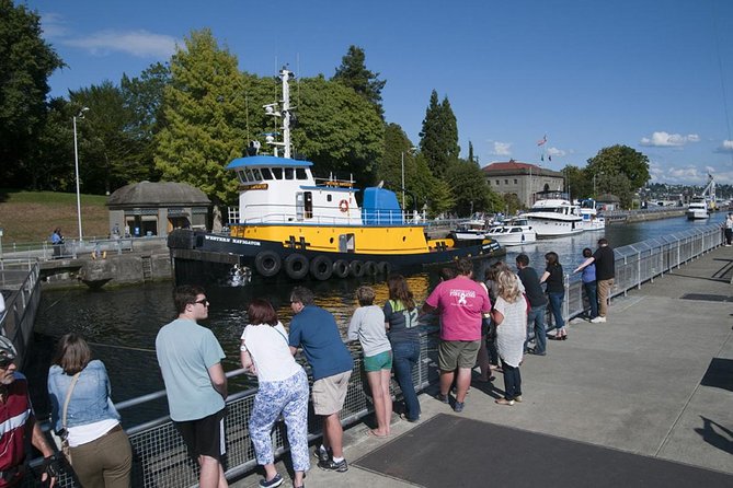 Seattle City and Snoqualmie Falls Half-Day Guided Tour - Meeting and Pickup