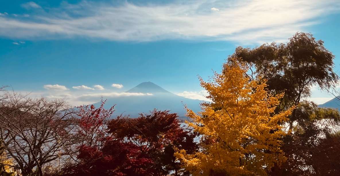 Shinjuku: Mount Fuji Panoramic View and Shopping Day Tour - Itinerary Highlights
