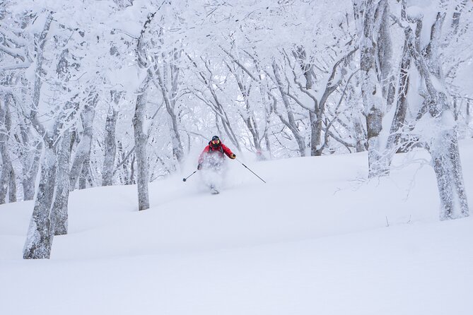 Ski or Snowboard Lesson in Shiga Kogen (4Hours) - Meeting and Pickup