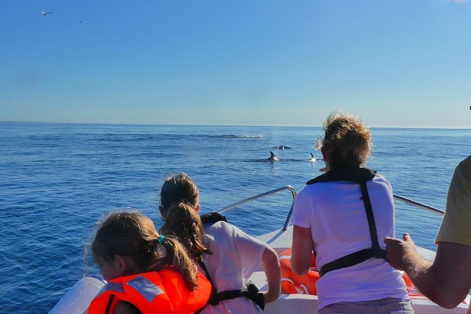 Small Group Dolphin and Wildlife Watching Tour in Faro - Tour Highlights and Inclusions