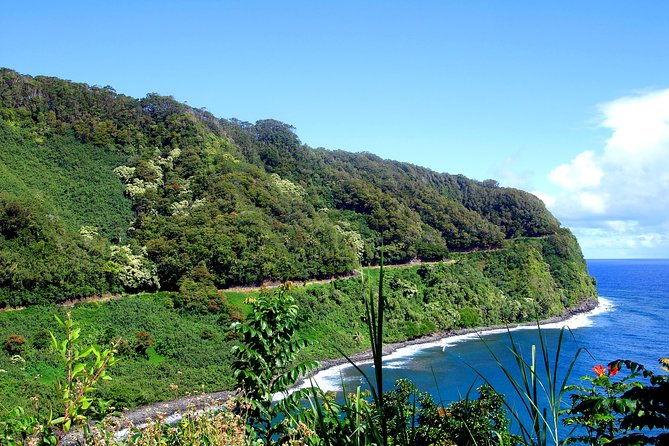 Small-Group Road to Hana Luxury Tour - Inclusions