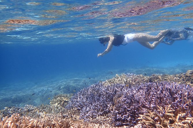 Snorkeling Tour at Coral Island, Iriomote, Okinawa - Cancellation and Refund Policy