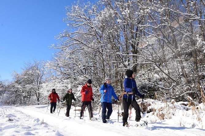Snowshoe Hike Tour From Sapporo - Inclusions in the Tour Package