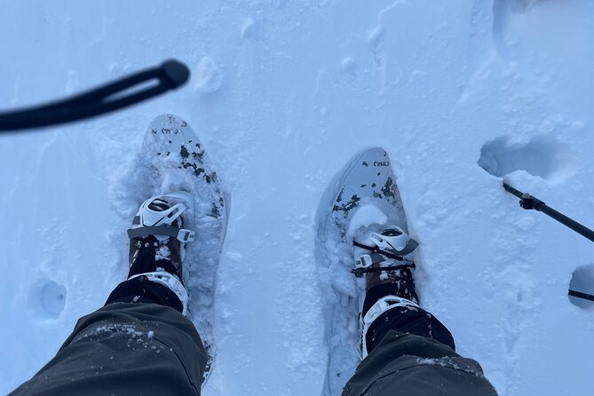 Snowshoeing Adventures in a Winter Wonderland - Sapporo - What to Expect During the Tour