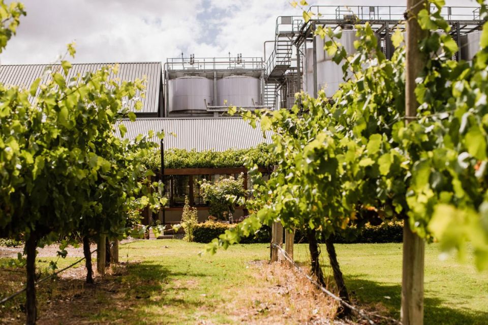 St Hallett: Old Block Underground Cellar Private Tasting - Experience Highlights