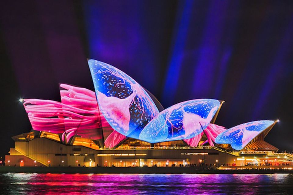 Sydney: Bring Your Own Drinks Vivid Harbour Cruise - Ticket Inclusions
