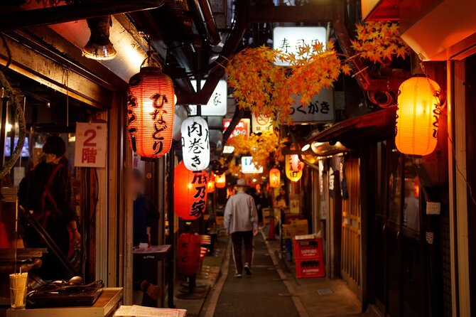 The Dark Side of Tokyo - Night Walking Tour Shinjuku Kabukicho - Navigating Omoide Yokochos Charming Alleyways