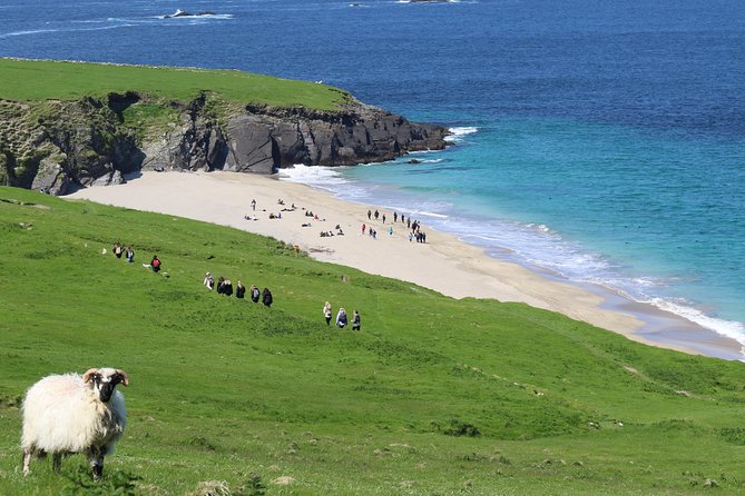 The Great Blasket Island Experience - What To Expect
