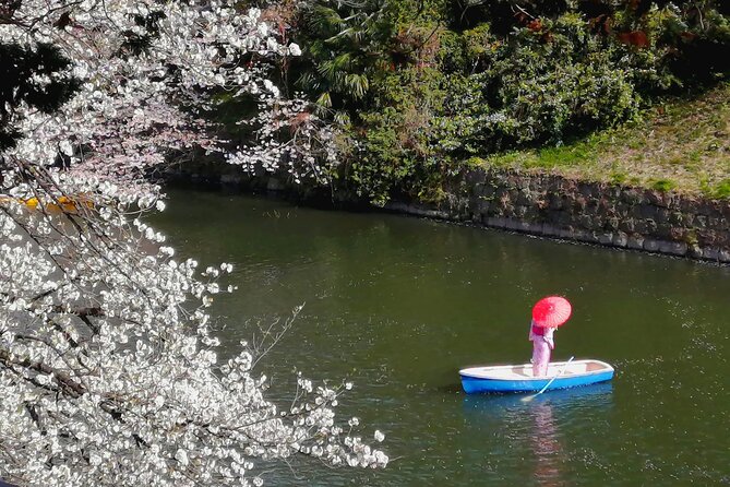 Tokyo Cherry Blossoms Blooming Spots E-Bike 3 Hour Tour - Bicycle Rental Details