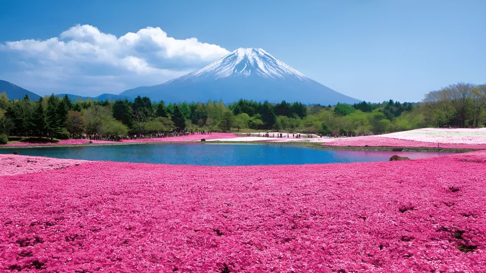 Tokyo: Mt. Fuji Festival, Ropeway, & Fruit Picking Day Trip - Itinerary