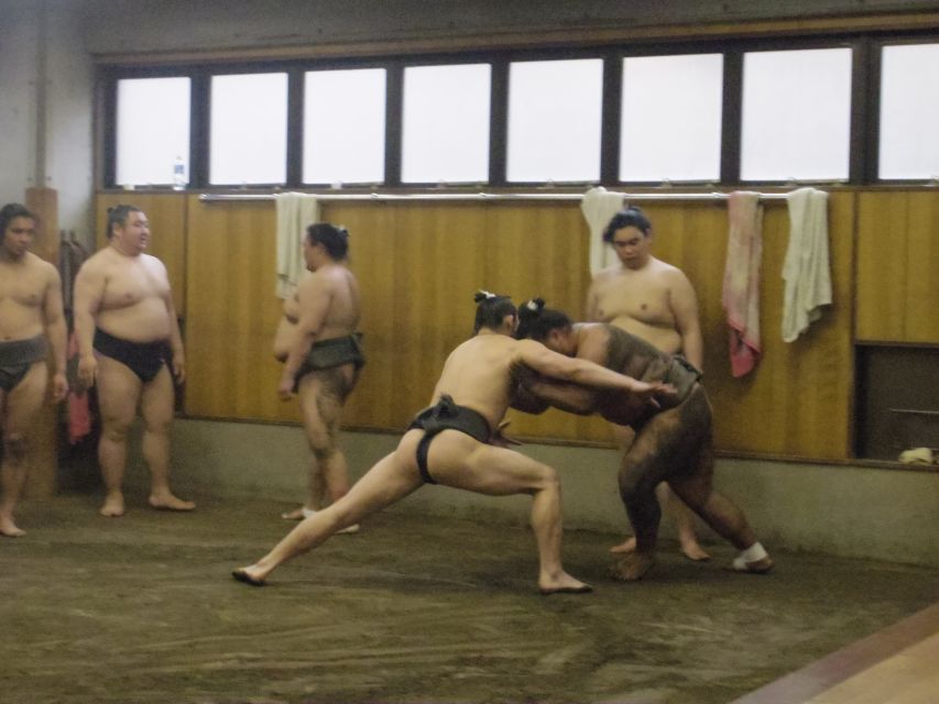 Tokyo: Sumo Morning Practice Viewing Tour - Overview