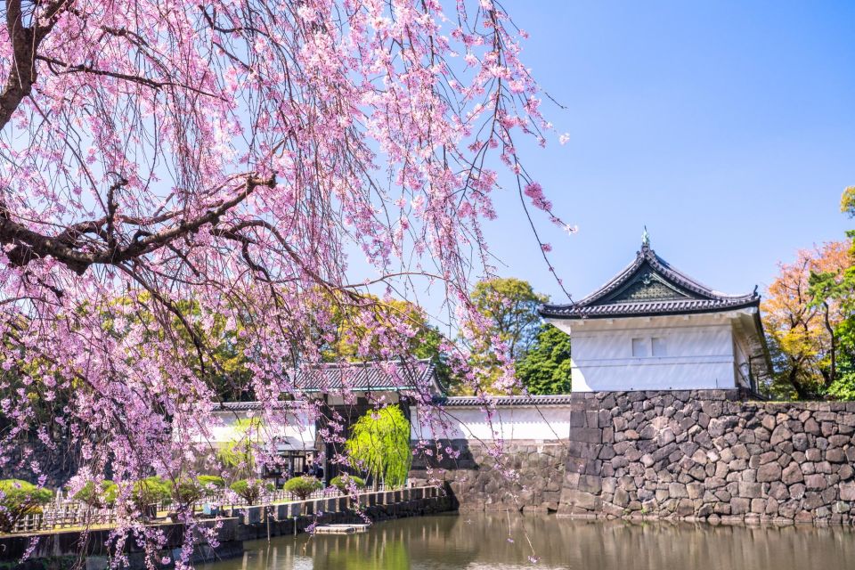 Tokyo: Tokyo Imperial Palace History Private Walking Tour - Highlights of the Tour