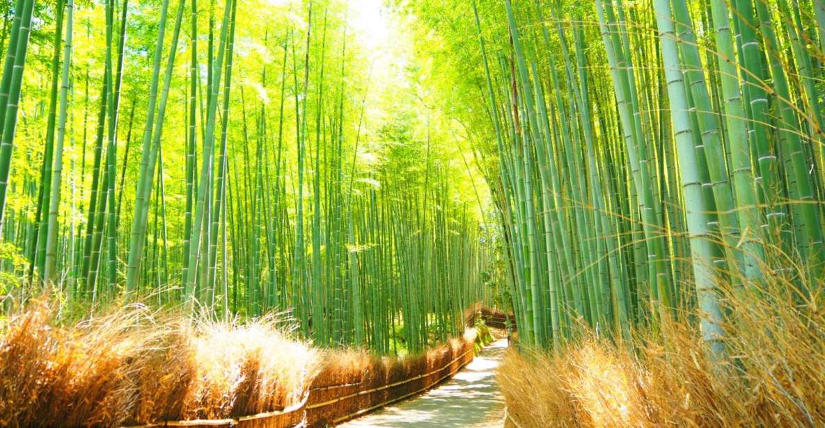 Traversing Kyotos Scenic West - Arashiyama to Kinkakuji - Itinerary