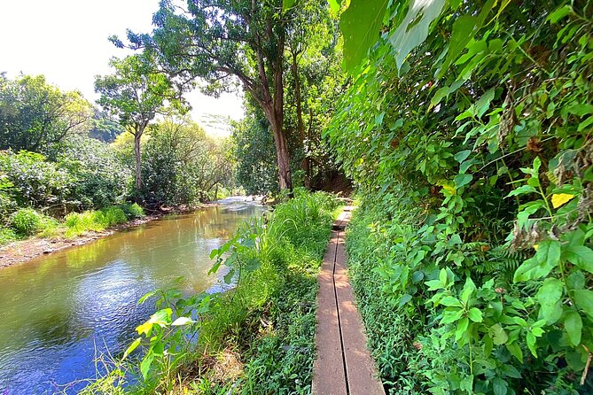 Wailua River and Secret Falls Kayak and Hiking Tour on Kauai - Participant Requirements