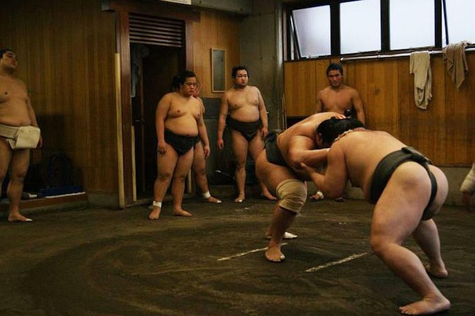 Watch Sumo Morning Practice at Stable in Tokyo - Inclusions and Exclusions