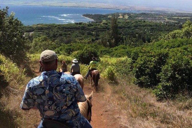 West Maui Mountain Waterfall and Ocean Tour via Horseback - Meeting Point Details