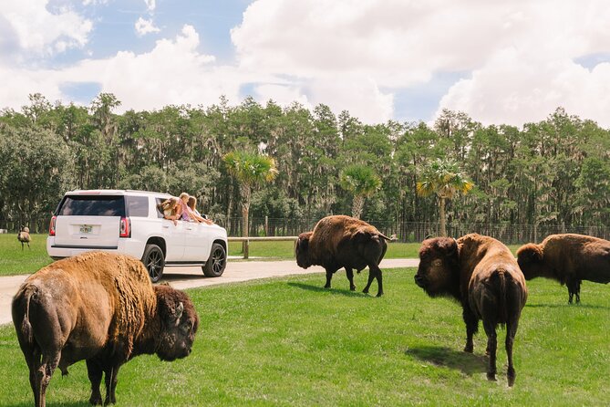 Wild Florida Drive-Thru Safari and Gator Park Admission - Visitor Experience