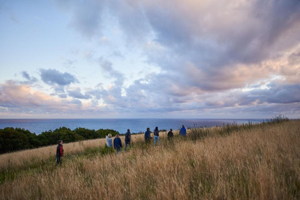 Wildlife Wonders: Great Ocean Road Dawn Discovery Tour - Activity Highlights