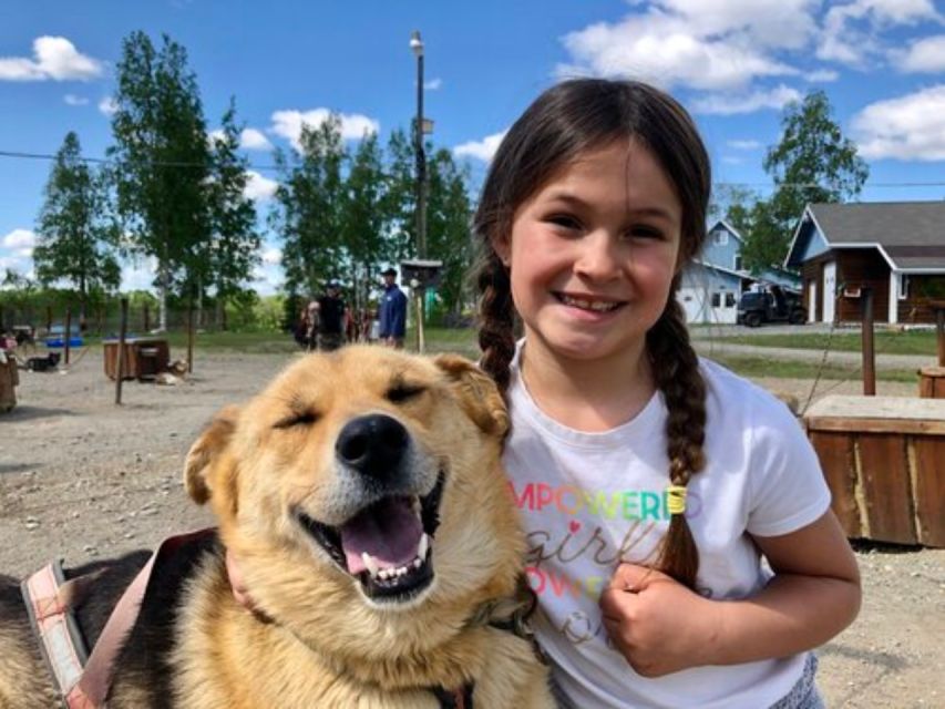Willow: Summer Dog Sledding Ride in Alaska - Friendly Alaskan Husky Dogs