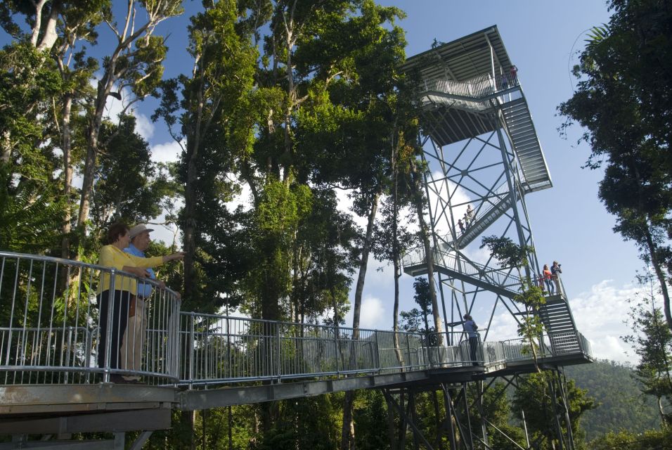 Wooroonooran National Park: Mamu Tropical Skywalk Admission - Experience Highlights in the Park