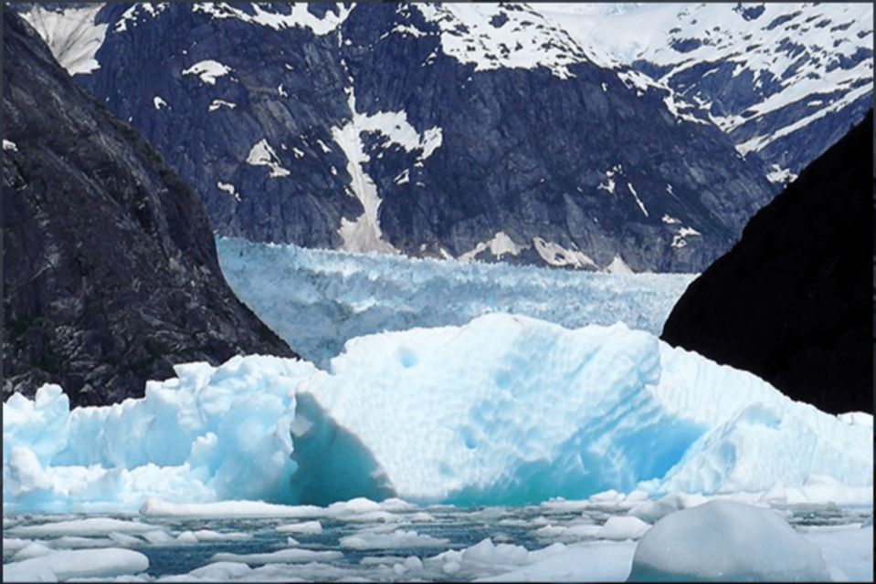 Wrangell: Leconte Glacier Boat Tour - Highlights