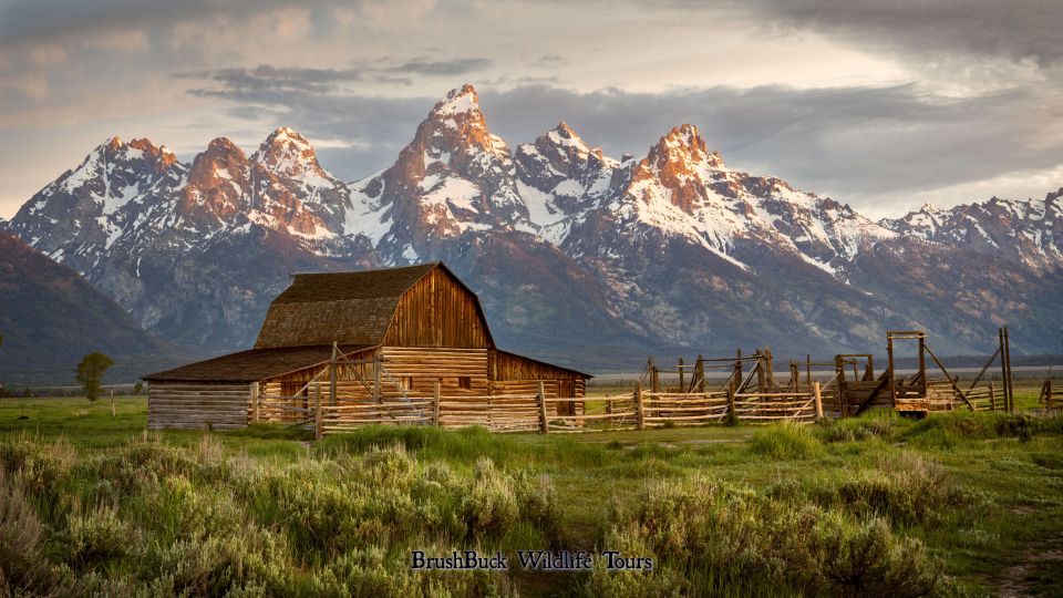 Yellowstone & Grand Tetons: 4-Day/3-Night Wildlife Adventure - Itinerary