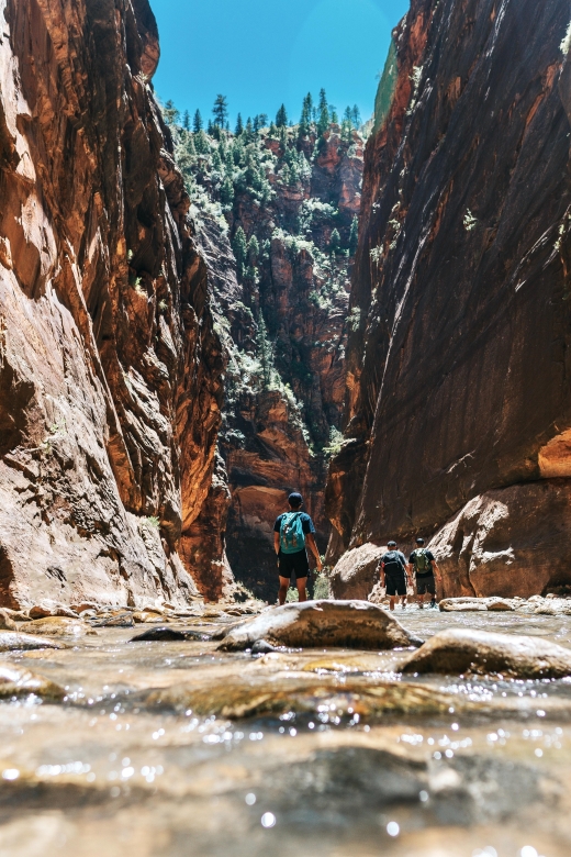 Zion National Park: Zion Full-Day Private Tour & Hike - Experience