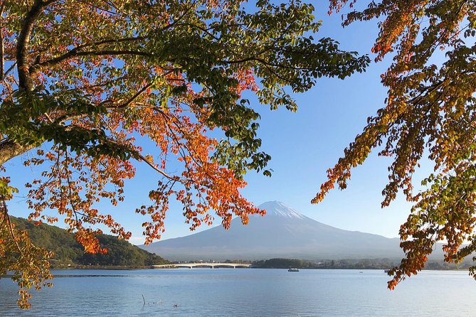 1 Day Charter Tour to Mt Fuji View - Reviews