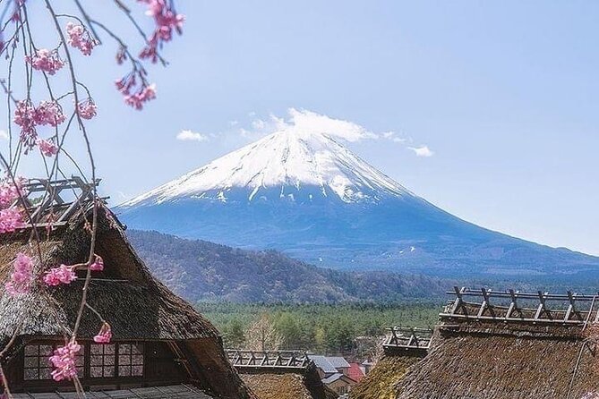 1 Day Fully Customized Tour to Mt Fuji With English & Hindi Speak - Pricing and Booking