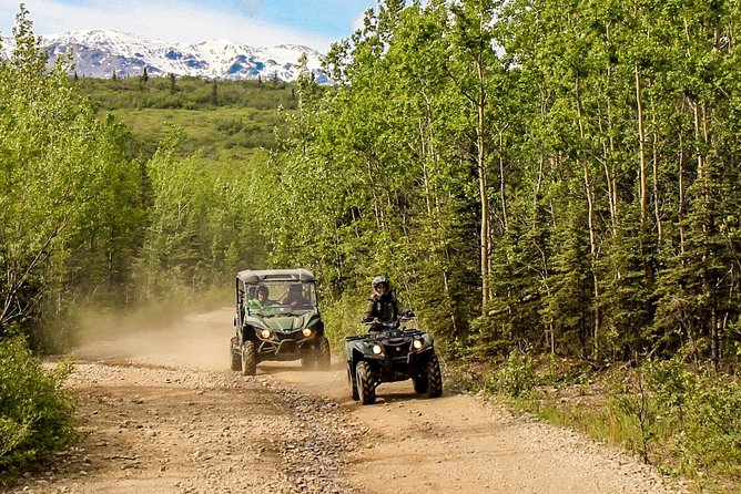 2.5-Hour Denali Wilderness ATV Adventure Tour - Speed and Terrain