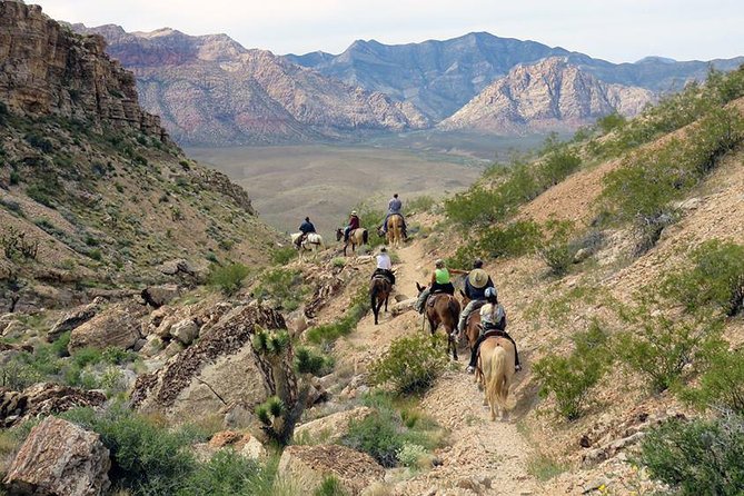 2-Hour Horseback Riding Through Red Rock Canyon - Equipment, Safety, and Logistics