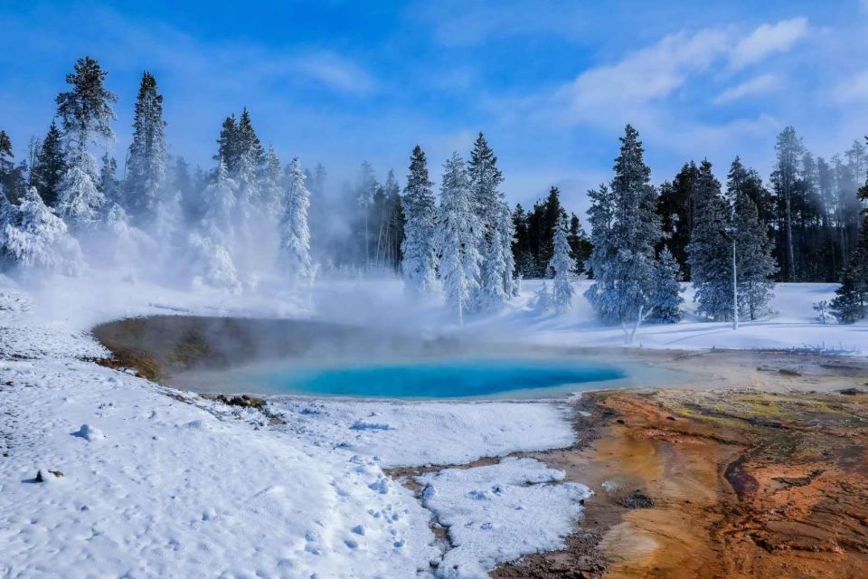 5-Day Winter Yellowstone Wildlife Tour - Key Activities