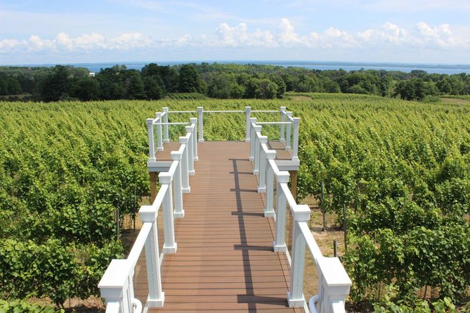 5-Hour Traverse City Wine Tour: 4 Wineries on Old Mission Peninsula - Customer Reviews