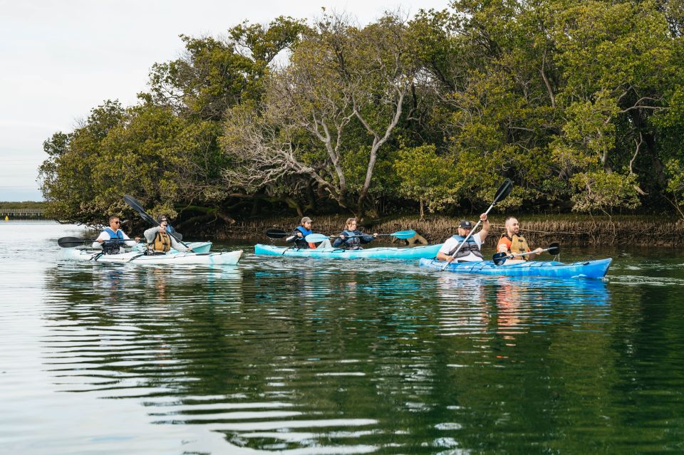 Adelaide: Dolphin Sanctuary Eco Kayaking Tour - Booking Information