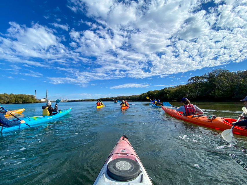 Adelaide: Dolphin Sanctuary Mangroves Kayak Tour - Inclusions