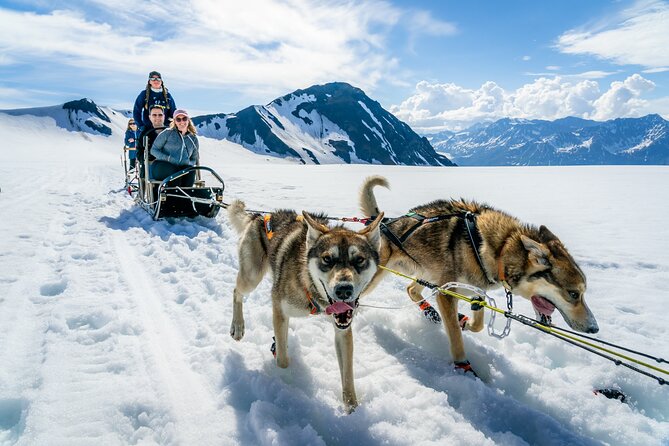 Alaska Helicopter and Glacier Dogsled Tour - ANCHORAGE AREA - Meeting Point & End Point