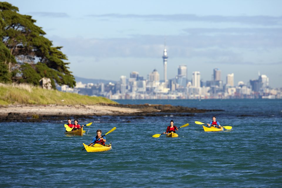 Auckland: Half-Day Sea Kayak Tour to Motukorea Island - Duration and Group Size