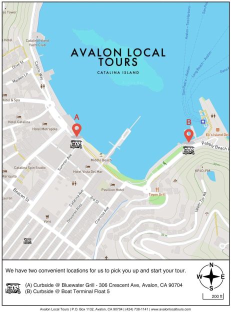 Avalon: Private Golf Cart Tour With Driver-Guide - Inclusions and Whats Provided