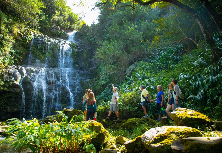Big Island: Full Day Adventure Tour of the Kohala Waterfalls - Inclusions