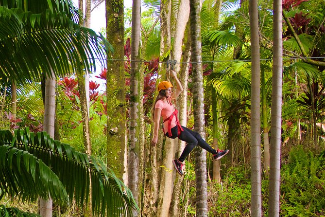 Big Island Zipline Adventure - Tour Experience and Recommendations
