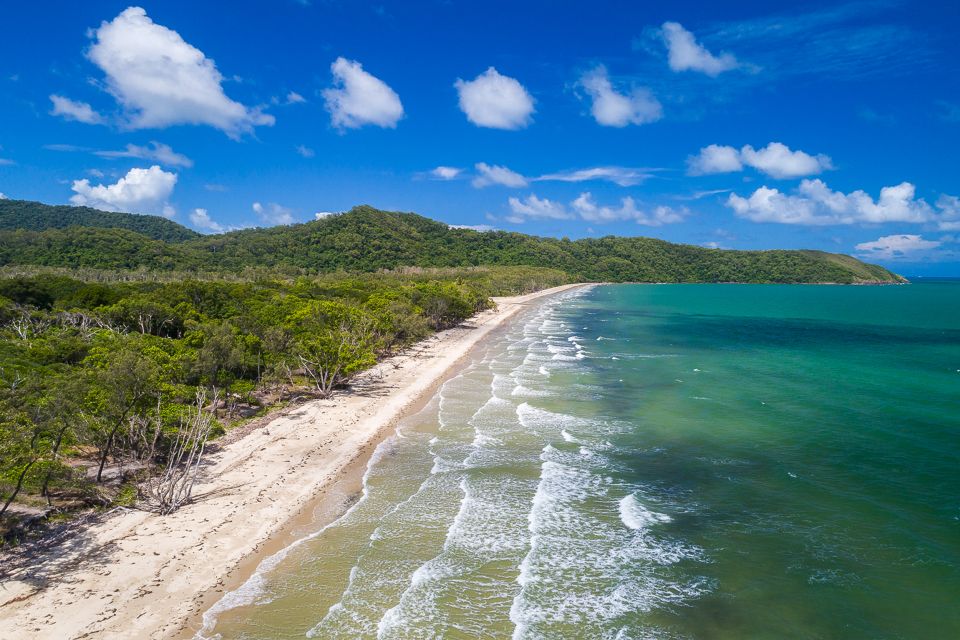 Cairns: Daintree and Mossman Gorge Tour With Cruise Option - Tour Description