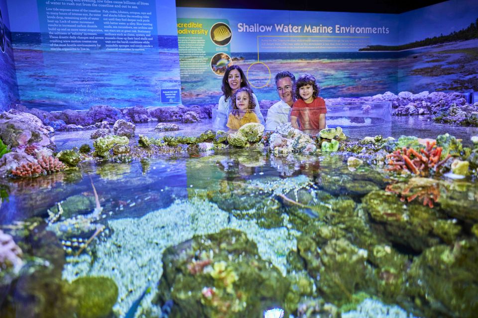 Cairns: Pre-Opening Guided Tour of the Cairns Aquarium - Full Description