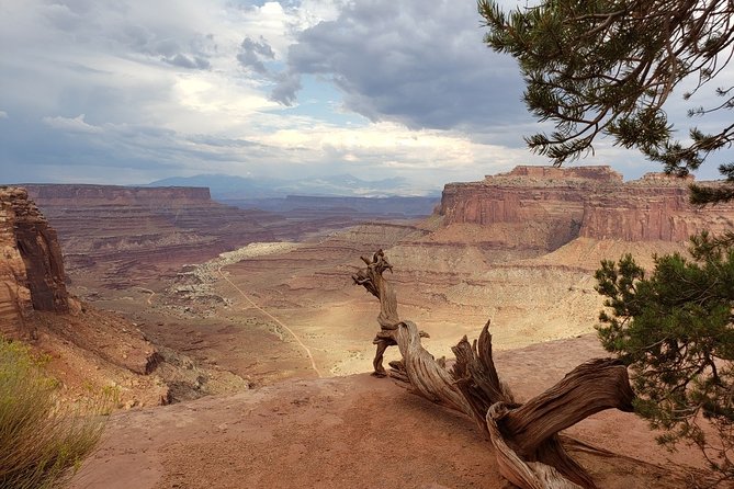 Canyonlands National Park Backcountry 4x4 Adventure From Moab - Reviews