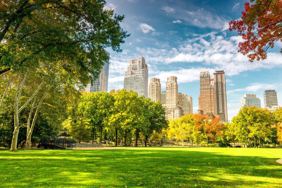 Central Park Private Walking Tour With Transfers - Tour Description