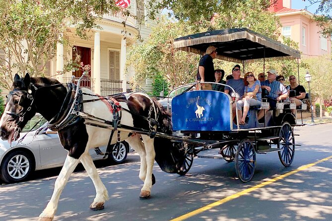Charleston Horse & Carriage Historic Sightseeing Tour - Additional Info