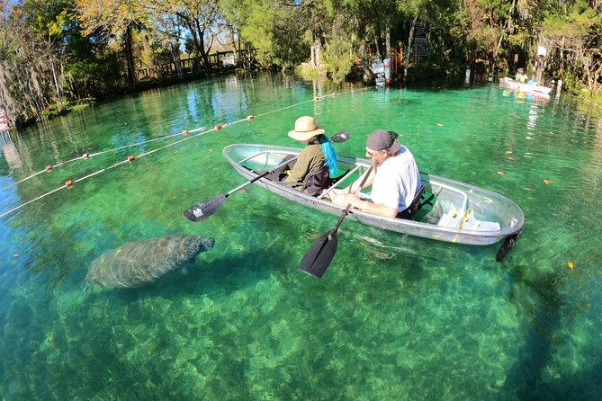 Clear Kayak Manatee Ecotour of Crystal River - Customer Experiences
