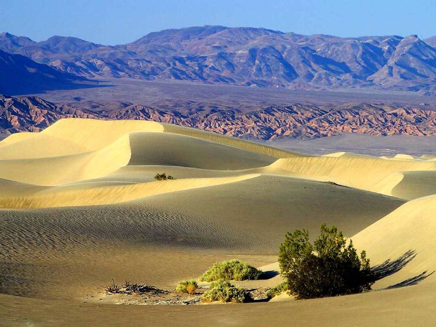 Death Valley: Full–Day Tour From Las Vegas - Booking Information