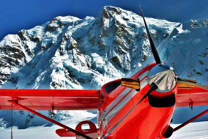 Denali Flyer Flightseeing Tour From Talkeetna - Check-In Process